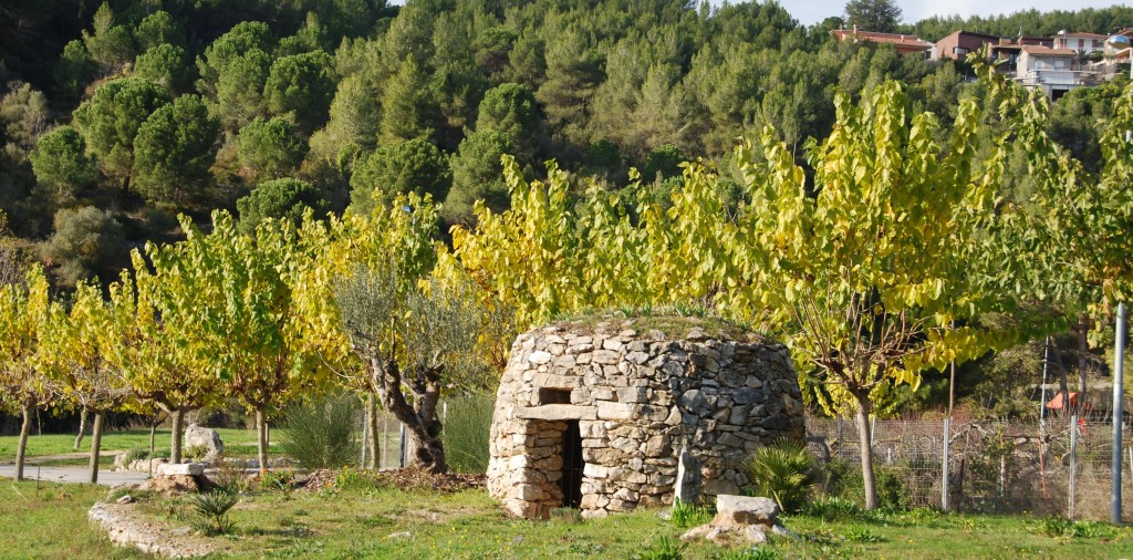 Olesa de Bonesvalls Mulasa (Barraca de Pastor) (2)