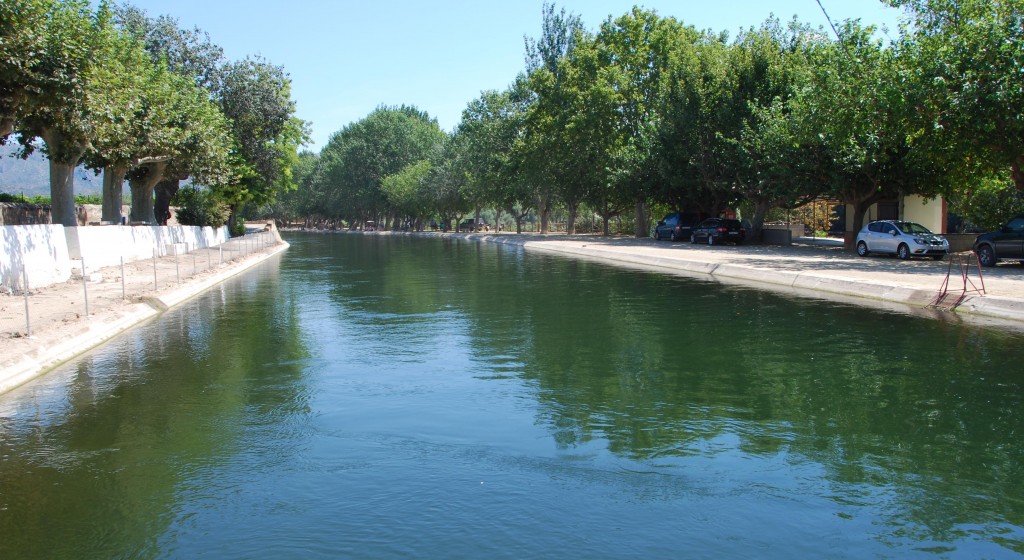 Xerta (Canal a on es banyen) (3)