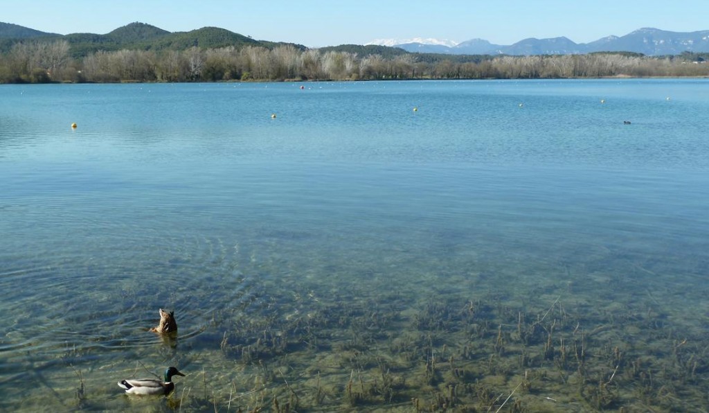 Banyoles (Llac) (3)