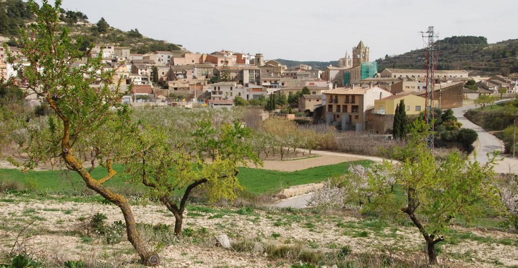 Vallbona de Les Monges (106)