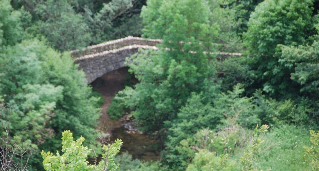 Vallfogona de Ripollès (Pont Romànic) (2)