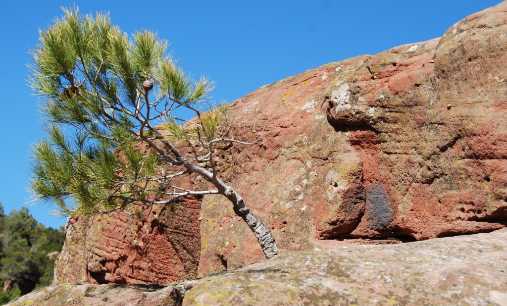 Ermita de la Mare de Deu de la Roca