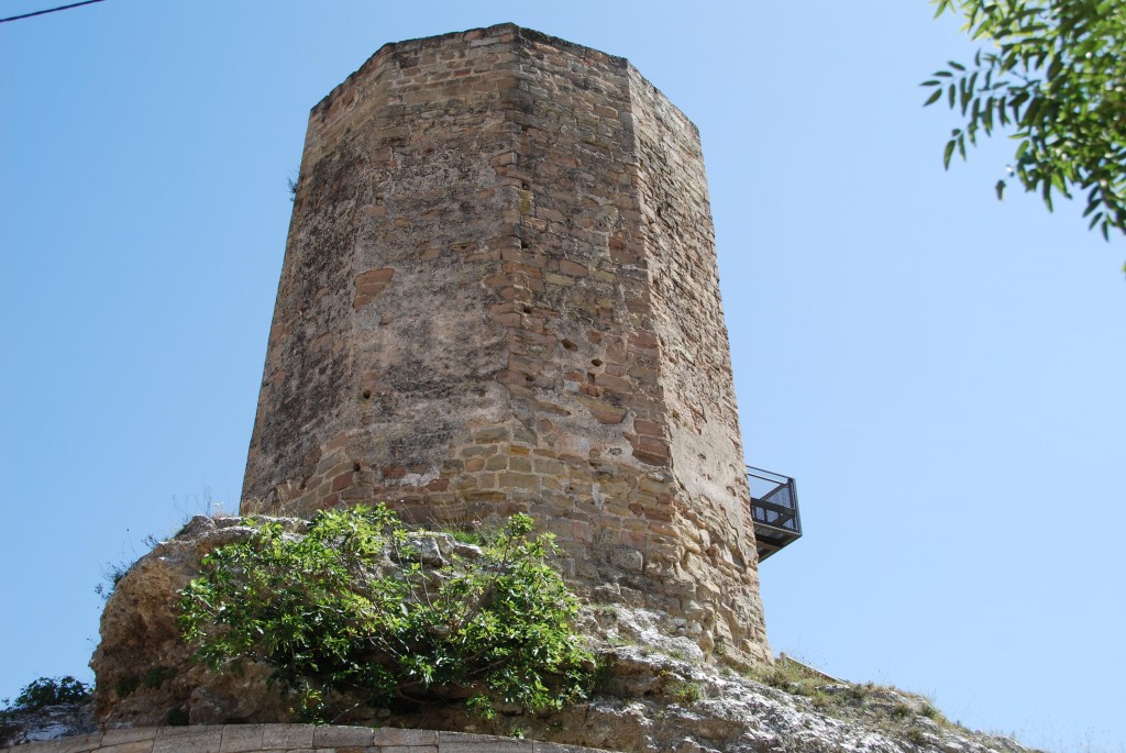 Ôdena (Torre) (4)