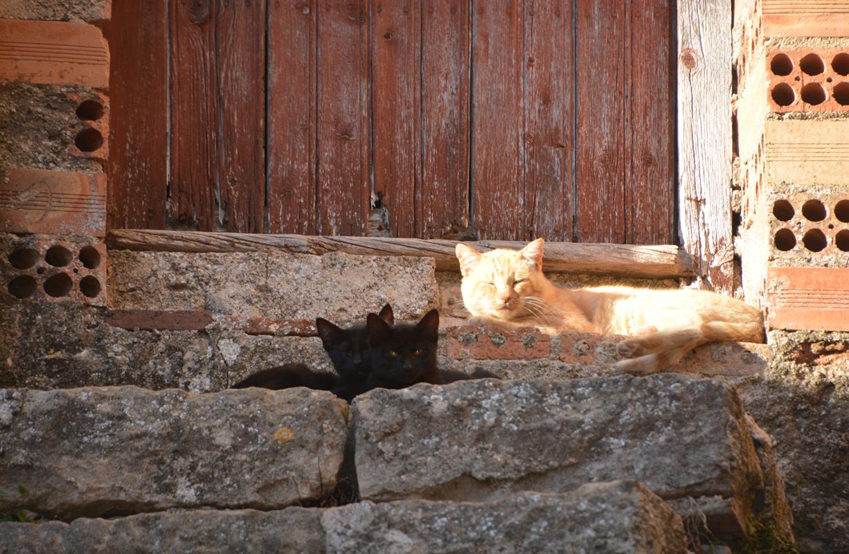 Get La decoracio de la llar colleccio costanera Desktop Wallpaper Free La Decoracio De La Llar Colleccio Costanera